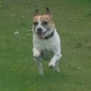 Louise Clancy♥☘ - @no1hootie - Twitter