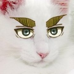 Clairwinさんのプロフィール画像