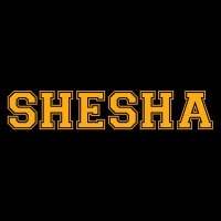 Shesha Lifestyle(@SheshaLifestyle) 's Twitter Profile Photo