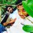 Murshidh faisal