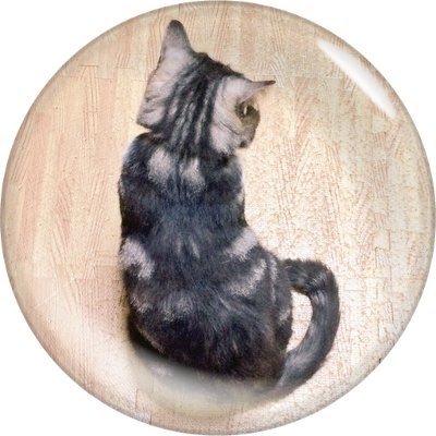 きょうとのｼﾞｬｯｸﾅｲﾌさんのプロフィール画像