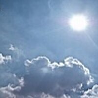 permaculture (@onlinepermacult) 's Twitter Profile
