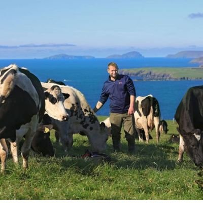 Ronan siochru Dairy farmer from Dingle Co Kerry, milking pedigree holsteins. Breeding advisor for World Wide Sires 🐄🐄