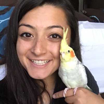 She/her. Physical Therapist. NWOSU Softball alum. Pittie/Cockatiel mom. 🐶🐥