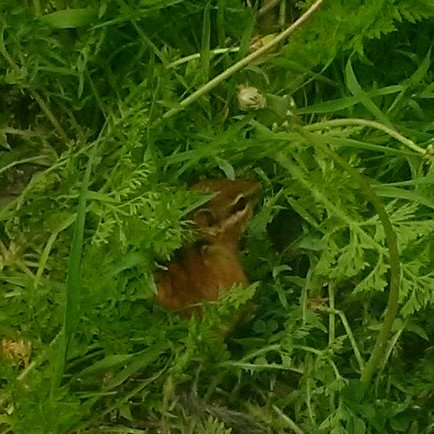 themichaelannan's profile picture. Annan of Scottish descent. Likes to curl up w/a good book or a woman who's read one. Hockey & Nascar fan. Rock'n'Roll!