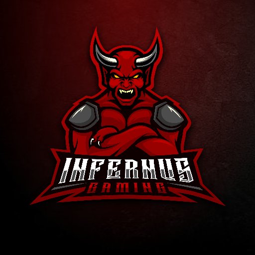 InfernusGaming8's profile picture. 