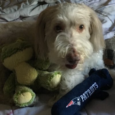 Proud mommy. Huge fan of all things Outlander, NE Patriots,Red Sox MPC2019