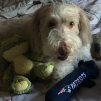 Mary. (@mawinmo) 's Twitter Profile