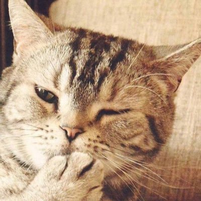 QixinLi's profile picture. 巴山楚水凄凉地，responsibility。