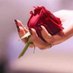 شموخ الريم 🌹🌹🌹 (@dorh35) Twitter profile photo شموخ الريم 🌹🌹🌹 (@dorh35) Twitter profile photo