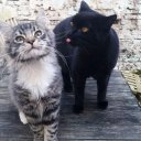 Dani - @DaniFloyd_ - Twitter