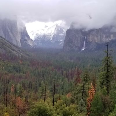 wolfonduty's profile picture. 