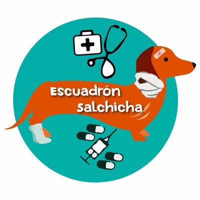 Tuneamos perros salchicha y callejeros abandonados ...