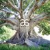 Alisha Bryson (@alisha_arbonne) Twitter profile photo Alisha Bryson (@alisha_arbonne) Twitter profile photo