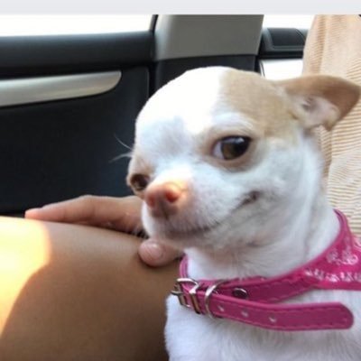 brownishbitch's profile picture. ...