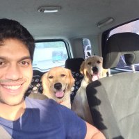 Deshal de Mel (@deshald) 's Twitter Profile