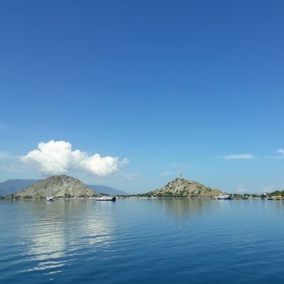 erny_tiawati's profile picture. 