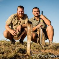 Chris_brooke🇿🇦 (@cb_wildlife) 's Twitter Profile