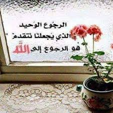 mpTmcpc6mLAnGZ2's profile picture. 