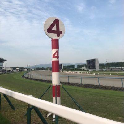 好きなもの 競馬🏇阪神⚾️米🍚生肉🥩パワスポめぐり⛩🏯🗻🕋日本🗾🇯🇵