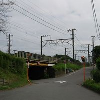 セトミ (@setomi_tb) 's Twitter Profile