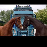 John Parker International (@johnparkerint) 's Twitter Profile