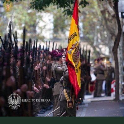 elfusilero1's profile picture. Un luchador es simplemente alguien que no se rinde. 🇪🇸