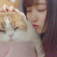 サイタマ (@akbske653) 's Twitter Profile Photo サイタマ (@akbske653) 's Twitter Profile Photo