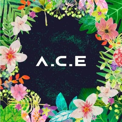 I Love Kpop ❤
A.C.E , UNB, BTS, SHINEE, BLACKPINK, TWICE, EXO, MONSTA X ❤❤❤❤❤