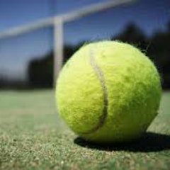 WantTennis's profile picture. 