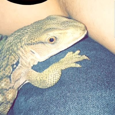 I love my reptiles!! 🦎🐸🐍🦎🐸🐢🐸
Follow me and I'll follow back 💯🤙🏼
GO SUBSCRIBE!!!!🤗🤗🤗🤗