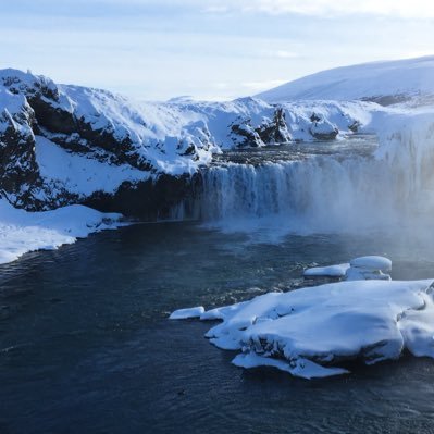 k_minks's profile picture. “Reader, suppose you were an idiot. And suppose you were a member of Congress. But I repeat myself.” - Mark Twain