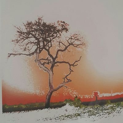 atnightas's profile picture. 