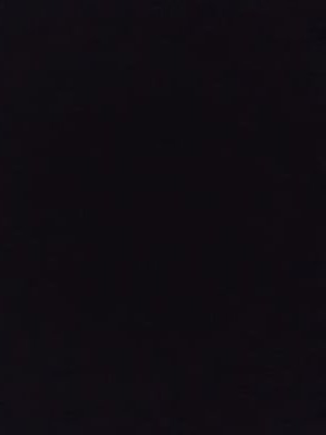 mvc2019's profile picture. 