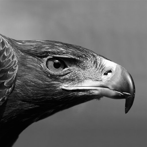 Beşiktaşlı olmak Ayrıcalıktır...        
(Being a Beşiktaş fan is a privilege...)
Herkese nasip olmaz !