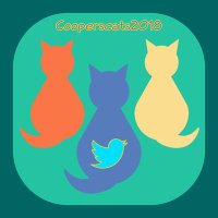 Mrs C (@cooperscats) 's Twitter Profile