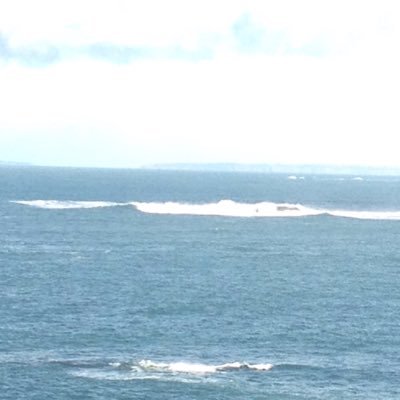 74a84474fe21452's profile picture. Phil Foden ❤️ love photography 📷