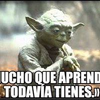 Lamaestrayoda (@lamaestrayoda) 's Twitter Profile