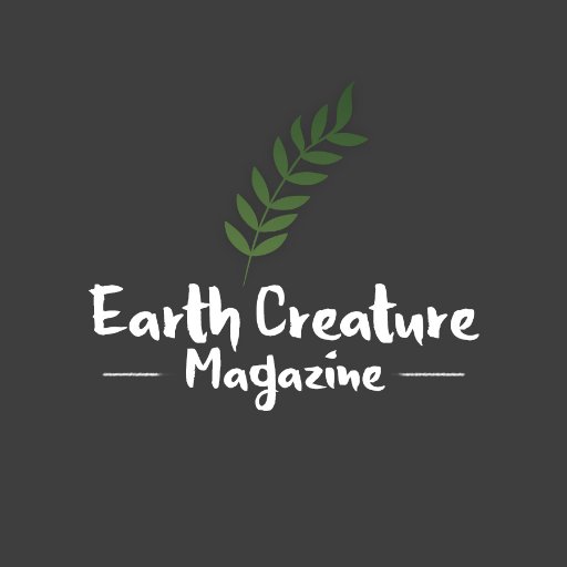 Digital mag featuring raw beauty in nature. Find us on Insta: https://t.co/mXvTXqRZBw