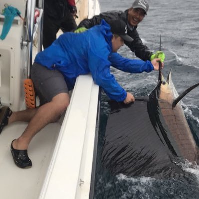 Jossuribe's profile picture. Abogado - Asesor Jurídico