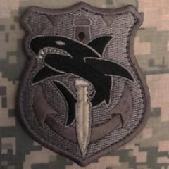 BsbFox1's profile picture. stay for it and fight for it