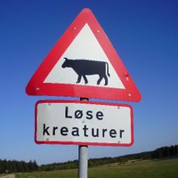 liarslast_join (@liarslast_join) 's Twitter Profile