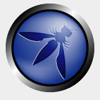 Northern Virginia chapter of OWASP org. In-person meetings located bet. Centerville & Reston Virginia. Interests include OWASP Top 10, mobile, & threat modeling