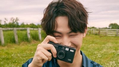 falling blossoms Profile