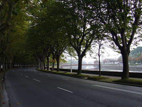 ForayUSA's profile picture. 