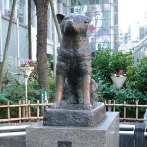 hachiko_room Profile Picture