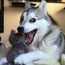 NelsonS94014936's profile picture. 