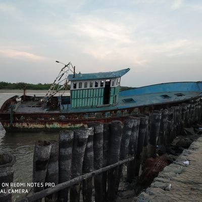 sankuradics's profile picture. 