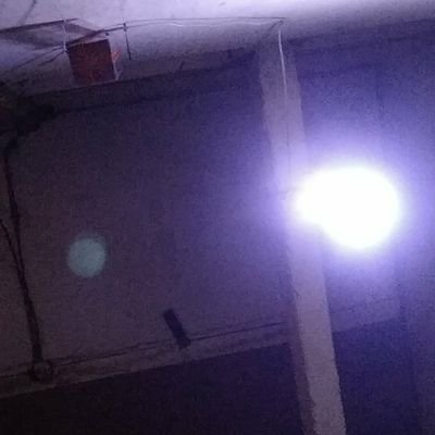 WiryadiAgus's profile picture. gembel elit