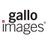 Gallo_Sport